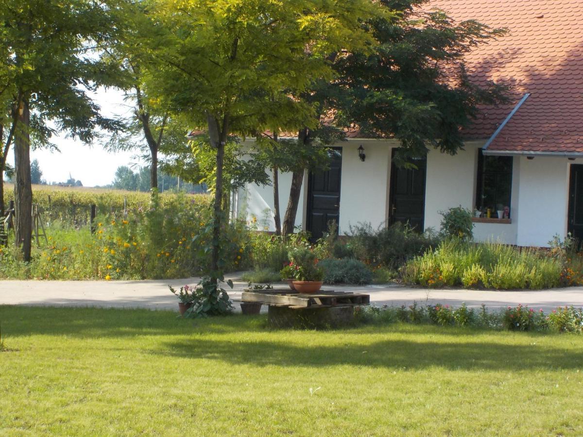 Guest House Vidravar Tabdi Dış mekan fotoğraf