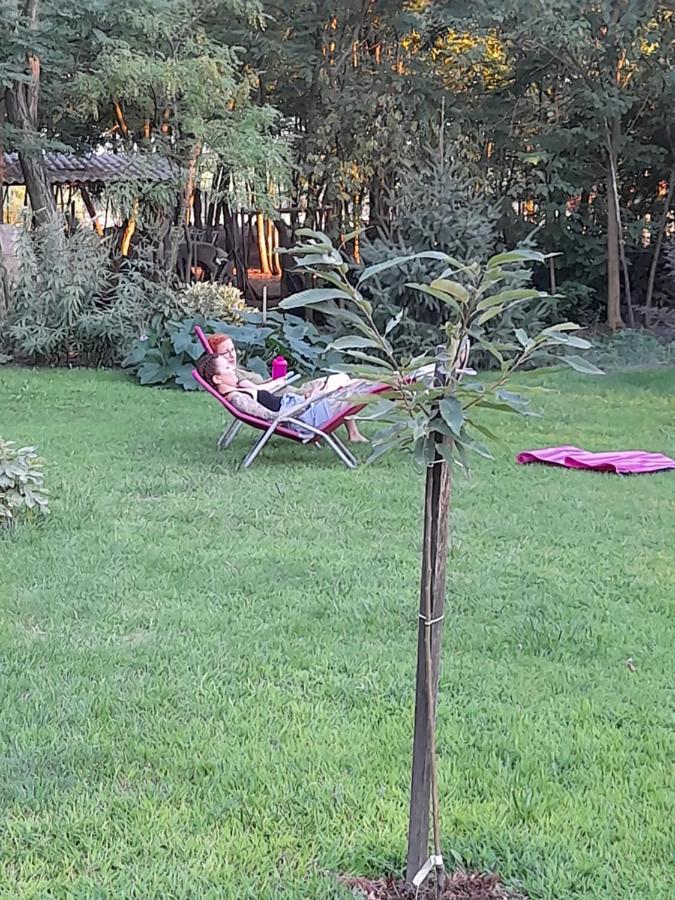 Guest House Vidravar Tabdi Dış mekan fotoğraf